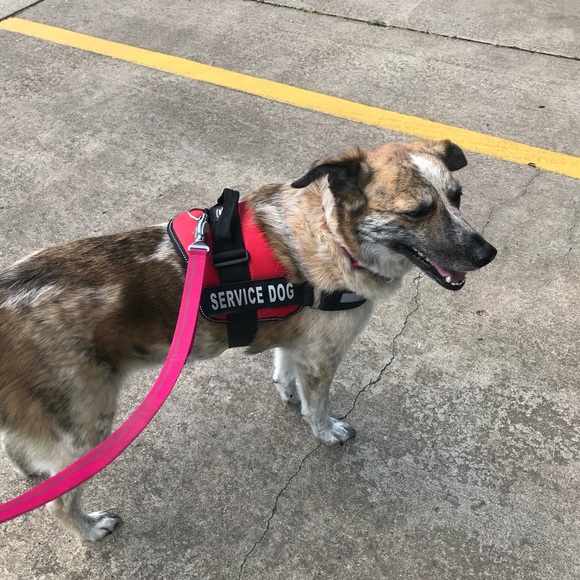 Meet your Posher, Rebekah - Picture 3 of 3